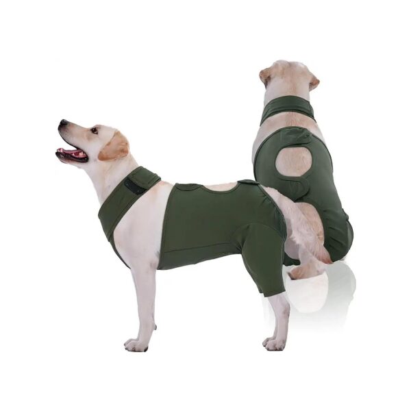 Surgery Dog Recovery Suit for Back Legs Wounds, Cone-Free Alternative for Maximum Comfort