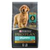 Sustainably Sourced High Protein Puppy Food for Immune Support and Healthy Development