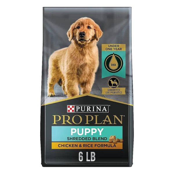 Sustainably Sourced High Protein Puppy Food for Immune Support and Healthy Development