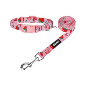 Sweet Strawberry Print Dog Collar and Matching Leash for Small Dogs