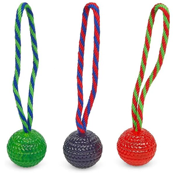 Synthetic Rope Dog Toy with Colourful Bouncy Ball for Interactive Play