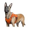 Tactical Dog Harness for Large Dogs with Reflective Trims and Adjustable Settings