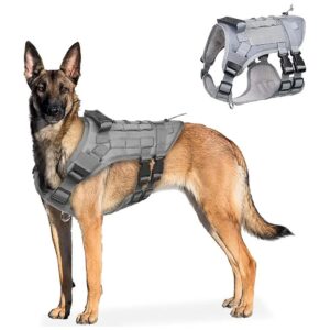 Tactical Dog Harness with Molle Panels for Medium Large Dogs No Pull Adjust to Fit Grey