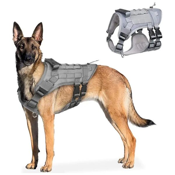 Tactical Dog Harness with Molle Panels for Medium Large Dogs No Pull Adjust to Fit Grey