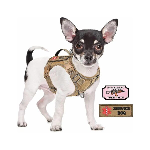 Tactical Small Dog Vest with Vertical Handle for Safe and Easy Training