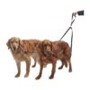 Tailed Tangle-Free Dual Dog Leash for Multi-Dog Walking