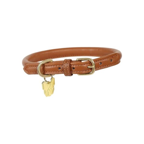 Tan Rolled Leather Dog Collar with Adjustable Brass Fittings and Buckle Closure