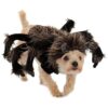 Tarantula Dog Costume for Small Breed Dogs with Hood and Six Spider Legs