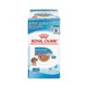 Tasty Chunks in Gravy Wet Puppy Food for Digestive Health