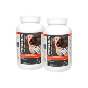 Tasty Glucosamine Chondroitin MSM Joint Health Supplement for Dogs - 264 Chewable Tablets