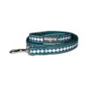 Teal Blue Reflective Dog Leash with Soft Handle and 3M Reflective Threads