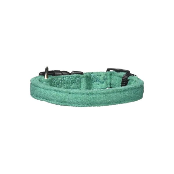 Teal Color Soft Padded Nylon Dog Collar for Small to Medium Pets