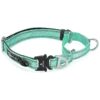 Teal Martingale Collar with Reflective Webbing and Cobra Buckle for Large Breed Dogs