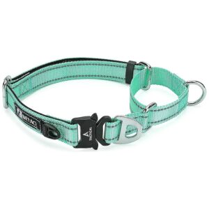 Teal Martingale Collar with Reflective Webbing and Cobra Buckle for Large Breed Dogs