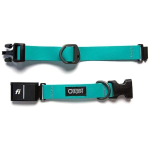 Teal Medium Dog Collar with Adjustable Neck Size and Durable Materials