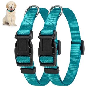 Teal Nylon Dog Collar Martingale Collar with Buckle Closure for Small Medium Large Dogs