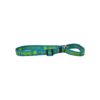 Teal Polyester Martingale Dog Collar for Small Breeds with Customized Text Identification