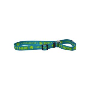 Teal Polyester Martingale Dog Collar for Small Breeds with Customized Text Identification