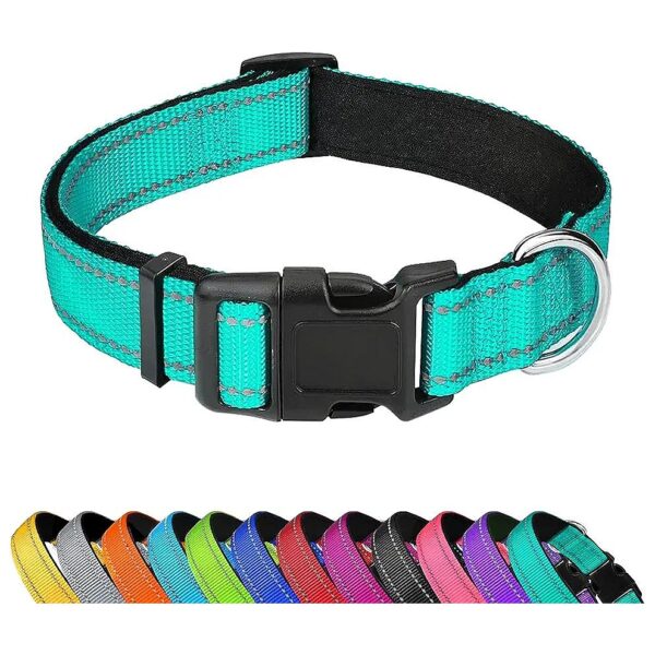 Teal Reflective Dog Collar with Adjustable Neoprene Padded Nylon Buckle for Large Breeds