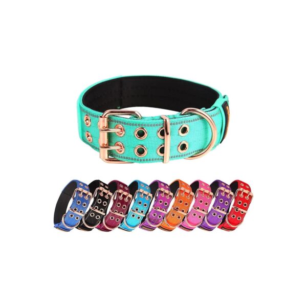 Teal Reflective Dog Collar with Neoprene Padded and Metal Buckle for Medium Large Dogs