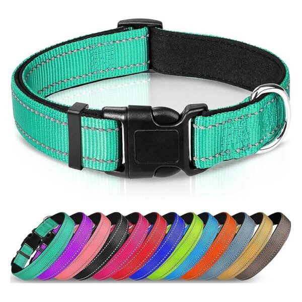 Teal Reflective Dog Collar with Soft Neoprene Padding for Small Dogs