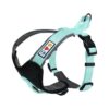 Teal Reflective Dog Harness for Medium Dogs - Nylon Vest with Padded Padding for Comfort