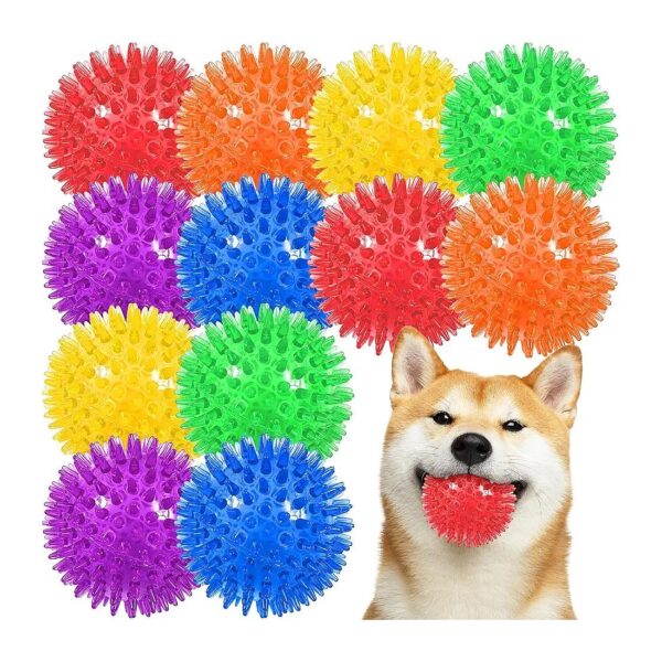 Teething Friendly Spiky Squeaky Dog Toy Balls for Small Medium and Large Dogs