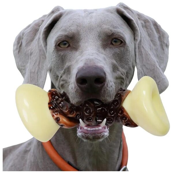 Teething Toys for Large Breed Dogs, Durable Natural Rubber Interactive Dog Toys