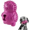 Teething and Interactive Dog Toy for Medium Dogs with Rubber Hedgehog and Tennis Ball