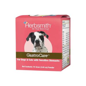 Term Digestive Support for Cats and Dogs with Sensitive Stomachs