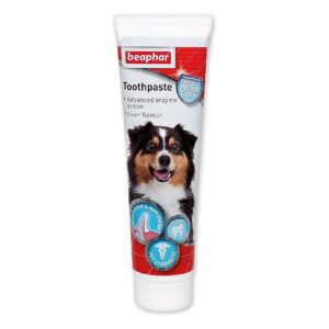 The Best Toothpaste for Adult Dogs and Cats with Liver Flavor Non Fluoride Free