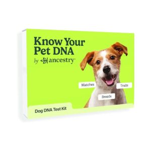 The Ultimate Dog DNA Test for Breed Identification and Trait Analysis