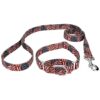 The Ultimate Patriotic Dog Collar and Leash Set for Small to Medium Breed Dogs