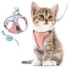 The Ultimate Reflective Pet Vest for Small Kitten, Puppy, Rabbit, XS, Pink and Blue