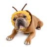 Themed Dog Costume for Small to Medium Dog Breeds, Warm Ear Covers