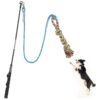 Therapeutic and Fun Flirt Pole Toy for Dogs and Cats