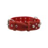 Thick 5 Inch Wide Leather Dog Collar in Red with Real