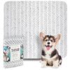 Thick-Layered, Leakproof, and Odorless Dog and Puppy Bed and Travel Crate Pads