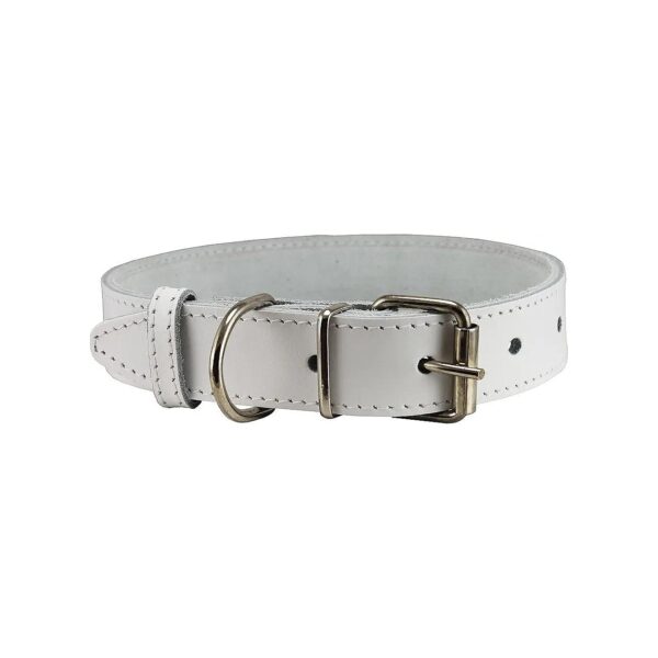 Thick Leather Dog Collar White 4 Sizes Strong and Comfortable for Pet Wear