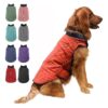 Thick Winter Dog Jacket for Medium Dogs, 7 Sizes, 13 Colors, Cozy and Stylish