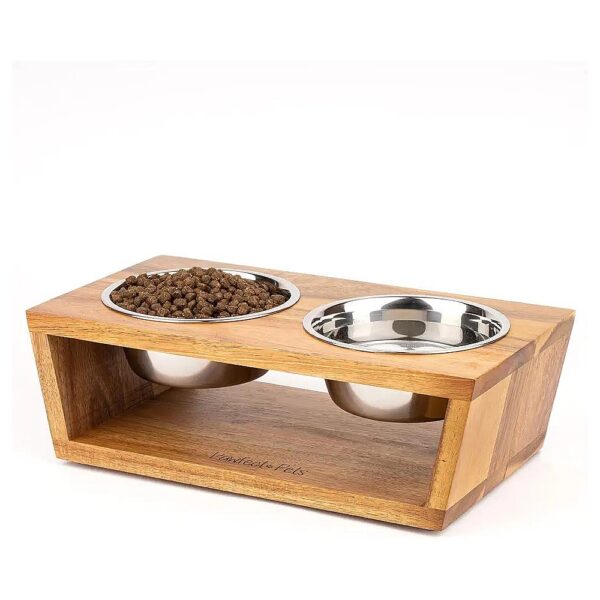 Thoughtfully Designed Elevated Cat Food Bowls for Small Dogs and Indoor Cats