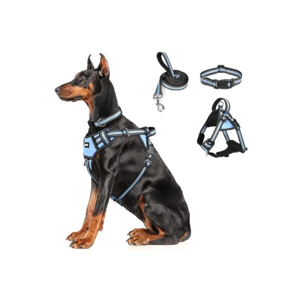 Three-in-One Reflective Harness and Collar Set for Dogs of All Sizes