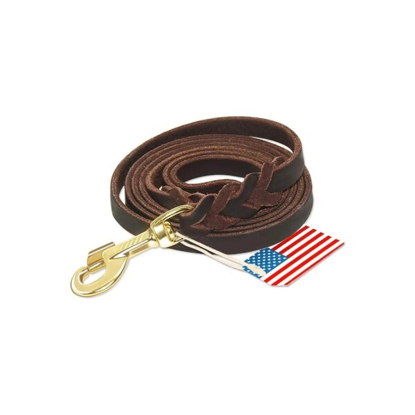 Top Quality 6ft Brown Leather Dog Leash for General Obedience and Backyard Training Needs