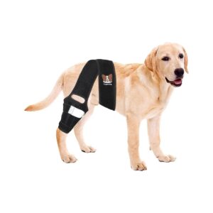 Torn ACL Dog Knee Braces with Spring Side Stabilizers for Improved Balance and Stability