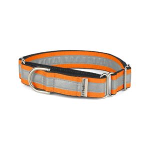 Torrid Orange Reflective Martingale Collar for Small to Large Dogs with Adjustable Fit