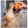 Tough Dog Chew Toy with Stuffable Center for Aggressive Chewers and Treats