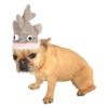 Tough Shark Costume Hat for Small to Medium Breed Canines