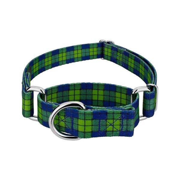 Traditional Design Martingale Dog Collar with 1 Inch Width and Adjustable Neck