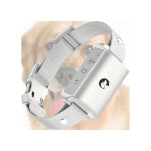 Training Collar for Small Medium Large Dogs with Adjustable Size Straps and 2 Batteries