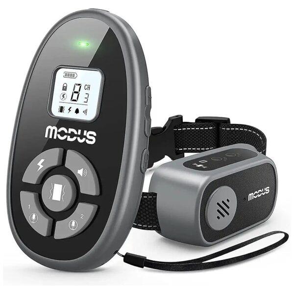 Training Dogs Made Easy with MODUS Dog Shock Collar and Remote Control